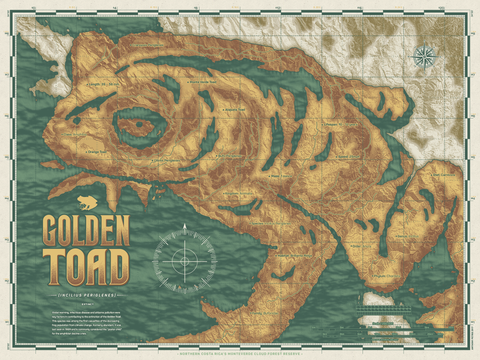 Animal Atlas: Golden Toad APs